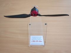 IMG 95641