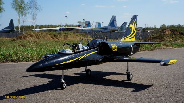 Мой L-39 Albatros в Монино