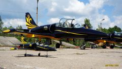 Мой L-39C Albatros в Вяземском УАЦ 02.06.13 г.