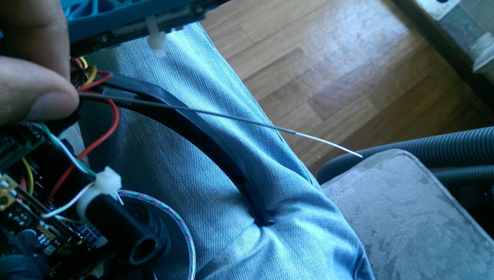 IMAG0241.jpg
